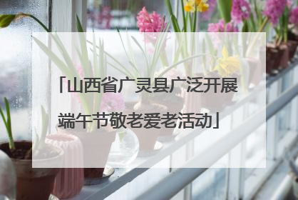山西省广灵县广泛开展端午节敬老爱老活动