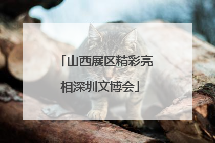山西展区精彩亮相深圳文博会