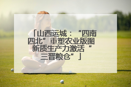 山西运城：“四南四北”重塑农业版图 新质生产力激活“三晋粮仓”