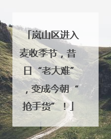 岚山区进入麦收季节，昔日“老大难”，变成今朝“抢手货”！