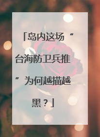岛内这场“台海防卫兵推”为何越描越黑？