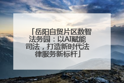 岳阳自贸片区数智法务园：以AI赋能司法，打造新时代法律服务新标杆
