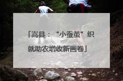 嵩县：“小蚕茧”织就助农增收新画卷