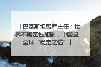 巴基斯坦智库主任：世界不确定性加剧，中国是全球“稳定之锚”