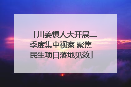 川姜镇人大开展二季度集中视察 聚焦民生项目落地见效