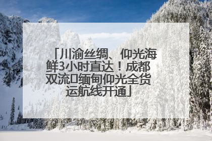 川渝丝绸、仰光海鲜3小时直达！成都双流⇌缅甸仰光全货运航线开通