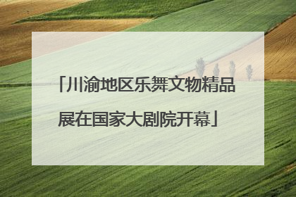 川渝地区乐舞文物精品展在国家大剧院开幕