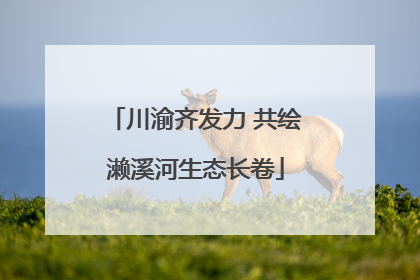 川渝齐发力 共绘濑溪河生态长卷
