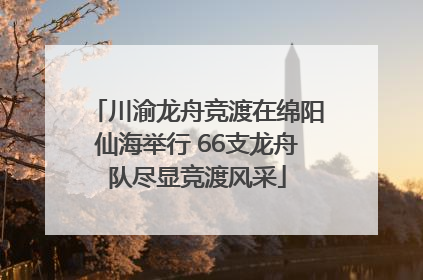 川渝龙舟竞渡在绵阳仙海举行 66支龙舟队尽显竞渡风采
