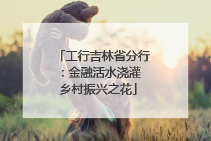 工行吉林省分行：金融活水浇灌 乡村振兴之花