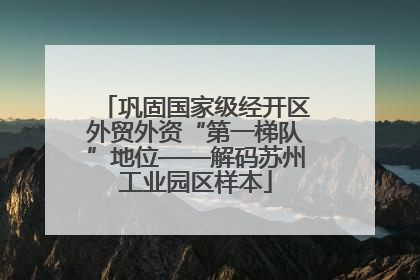巩固国家级经开区外贸外资“第一梯队”地位——解码苏州工业园区样本