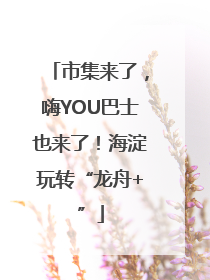 市集来了，嗨YOU巴士也来了！海淀玩转“龙舟+”