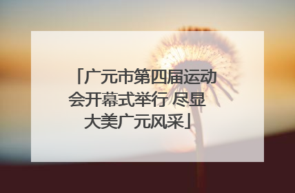 广元市第四届运动会开幕式举行 尽显大美广元风采