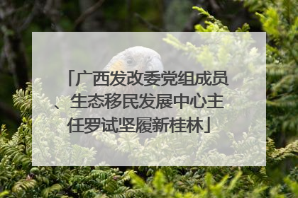 广西发改委党组成员、生态移民发展中心主任罗试坚履新桂林