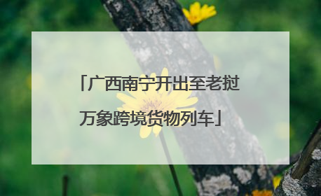 广西南宁开出至老挝万象跨境货物列车