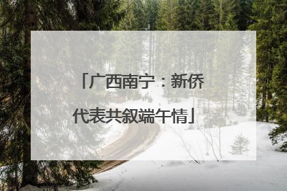 广西南宁：新侨代表共叙端午情