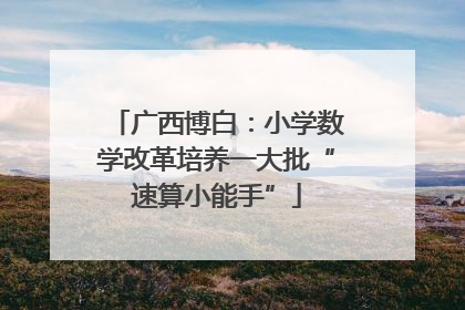 广西博白：小学数学改革培养一大批“速算小能手”
