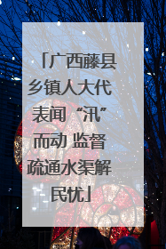 广西藤县乡镇人大代表闻“汛”而动 监督疏通水渠解民忧
