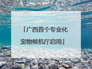 广西首个专业化宠物候机厅启用