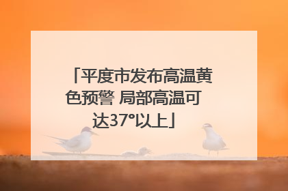 平度市发布高温黄色预警 局部高温可达37°以上
