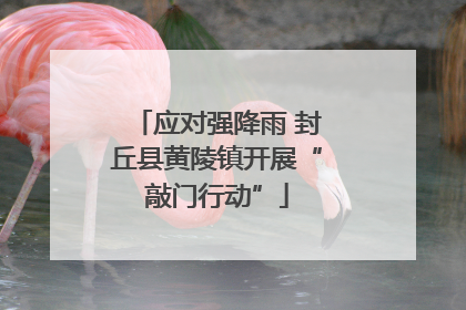 应对强降雨 封丘县黄陵镇开展“敲门行动”