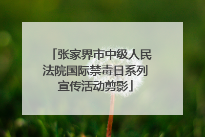 张家界市中级人民法院国际禁毒日系列宣传活动剪影