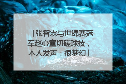 张智霖与世锦赛冠军赵心童切磋球技，本人发声：很梦幻