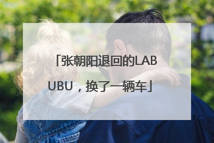 张朝阳退回的LABUBU，换了一辆车