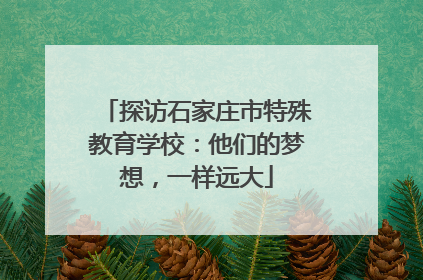 探访石家庄市特殊教育学校：他们的梦想，一样远大