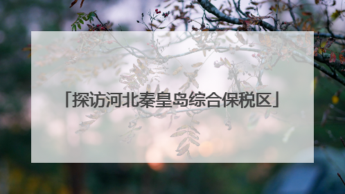 探访河北秦皇岛综合保税区