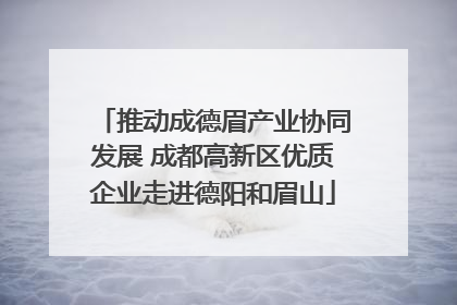推动成德眉产业协同发展 成都高新区优质企业走进德阳和眉山