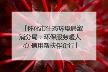 怀化市生态环境局溆浦分局：环保服务暖人心 信用帮扶伴企行