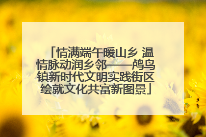 情满端午暖山乡 温情脉动润乡邻——鸬鸟镇新时代文明实践街区绘就文化共富新图景