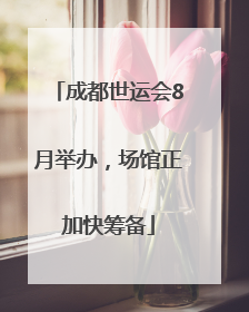 成都世运会8月举办，场馆正加快筹备