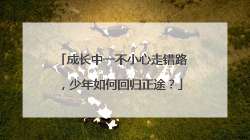 成长中一不小心走错路，少年如何回归正途？