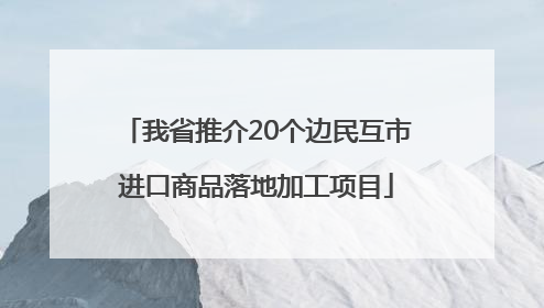 我省推介20个边民互市进口商品落地加工项目