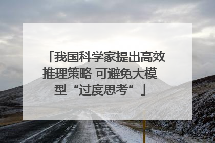 我国科学家提出高效推理策略 可避免大模型“过度思考”