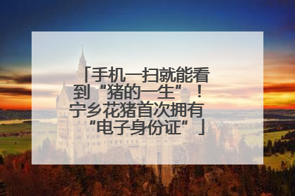 手机一扫就能看到“猪的一生”！宁乡花猪首次拥有“电子身份证”