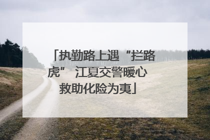 执勤路上遇“拦路虎” 江夏交警暖心救助化险为夷