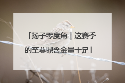 扬子零度角｜这赛季的至尊鼎含金量十足