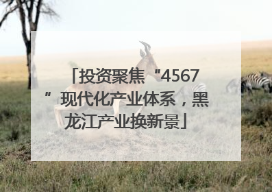 投资聚焦“4567”现代化产业体系，黑龙江产业换新景