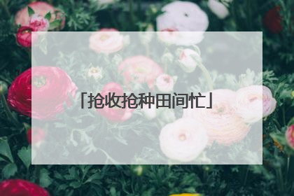 抢收抢种田间忙