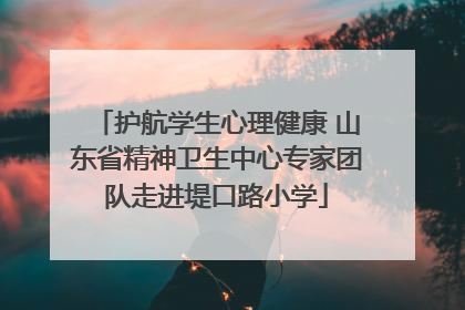 护航学生心理健康 山东省精神卫生中心专家团队走进堤口路小学