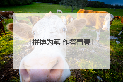 拼搏为笔 作答青春