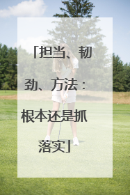 担当、韧劲、方法：根本还是抓落实