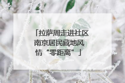 拉萨周走进社区 南京居民藏地风情“零距离”