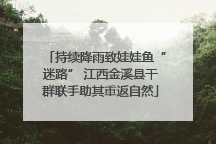 持续降雨致娃娃鱼“迷路” 江西金溪县干群联手助其重返自然