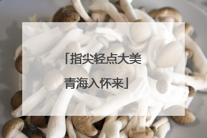 指尖轻点大美青海入怀来