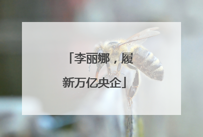 李丽娜，履新万亿央企