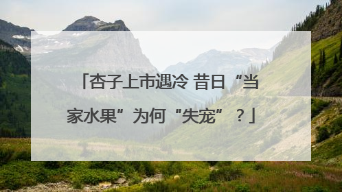 杏子上市遇冷 昔日“当家水果”为何“失宠”？